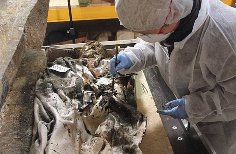 Каменные сердца были найдены во время раскопок на территории Франции