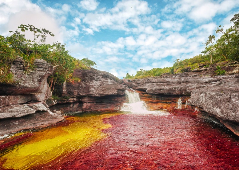 Чудеса природы: Каньо-Кристалес – разноцветная река в Колумбии