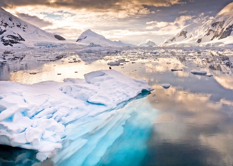 Удивительная Антарктида: интересные факты о самом холодном континенте
